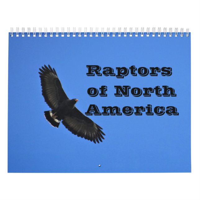 Calendar - Raptors (birds of prey) of North Americ (Cover)