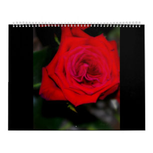 Calendar  ROSES