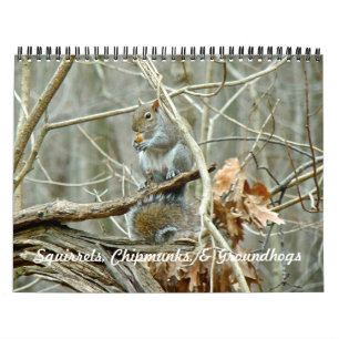 Calendar - Squirrels Chipmunks Groundhogs