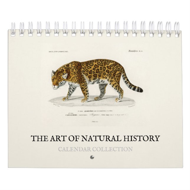 CALENDAR : THE ART OF NATURAL HISTORY (Cover)