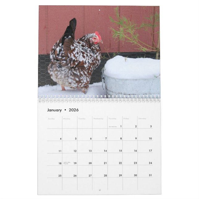 Calendar: The Chicken Chick's Flock Calendar (Jan 2026)