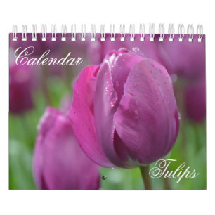 Calendar Tulips