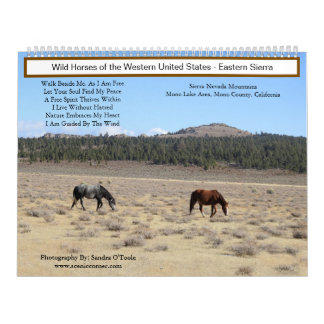 Calendar, Wild Horses, Eastern Sierra, California Calendar