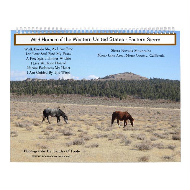 Calendar, Wild Horses, Eastern Sierra, California Calendar (Cover)