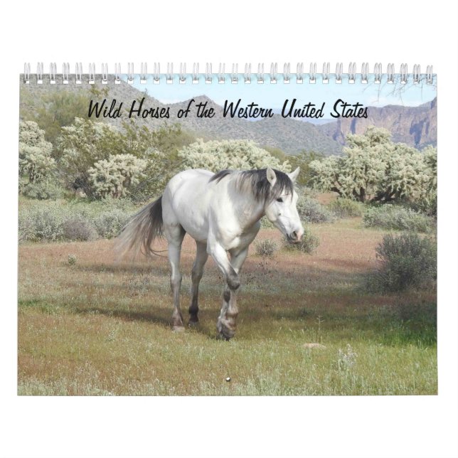 Calendar, Wild Horses of the Western United States Calendar (Cover)