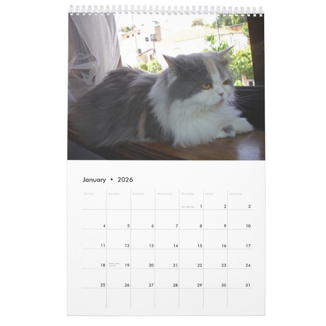 Calendar with cats - Customised (Jan 2026)