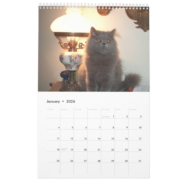 Calendar with cats - Customised (Jan 2026)