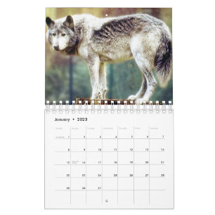 Calendar wolf