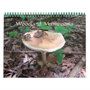 Calendar - Woodland Mushrooms