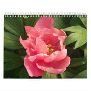 Calendario con fotografía de flores en colour calendar