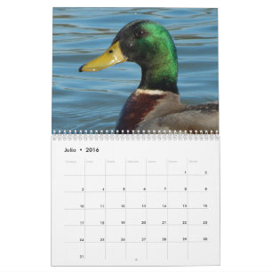 Calendario con fotos de patos y gansos en colour calendar