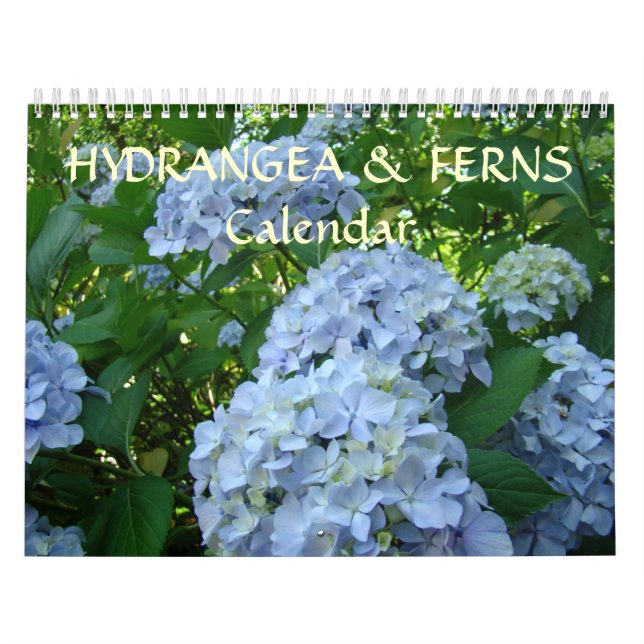 CALENDARS HYDRANGEAS & FERNS Calendar Gifts (Cover)