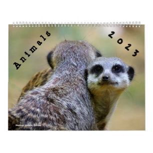 Calendrier 2023 Animaux Calendar