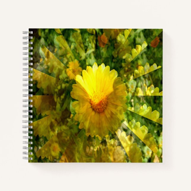 Calendula Love...... Notebook (Front)