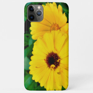 Calendula Officinalis iPhone 11 Pro Max Case