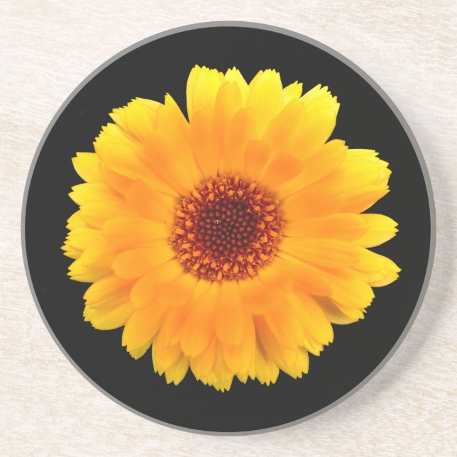 Calendula Officinalis Coaster (Front)