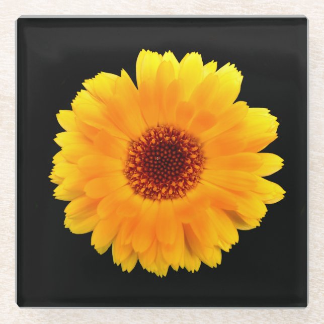 Calendula Officinalis Glass Coaster (Front)