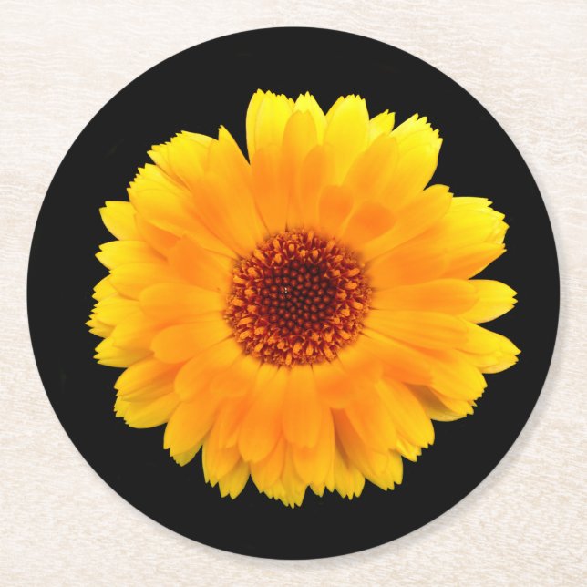 Calendula Officinalis Round Paper Coaster (Front)