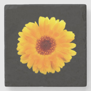 Calendula Officinalis Stone Coaster