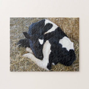 calf 11 x 14 photo puzzle
