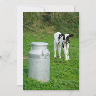Calf and milk urn