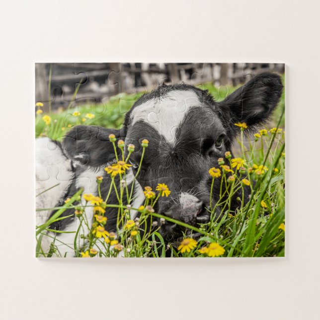 Calf in grass and flowers jigsaw puzzle (Horizontal)