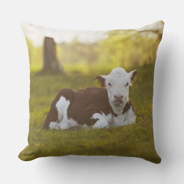 Calf Resting Cushion (Front)