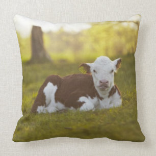Calf Resting Cushion