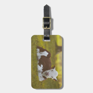 Calf Resting Luggage Tag