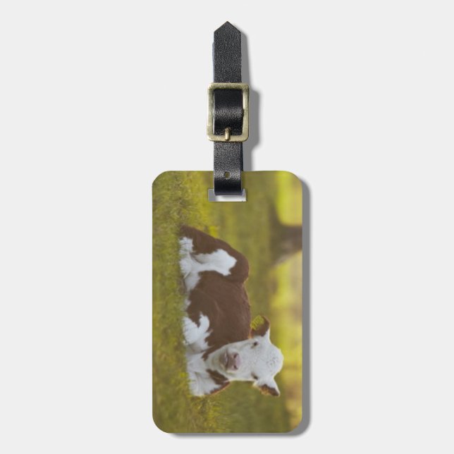 Calf Resting Luggage Tag (Front Vertical)