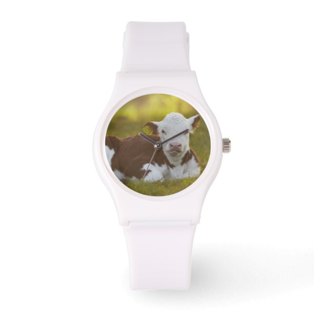 Calf Resting Watch (Front)