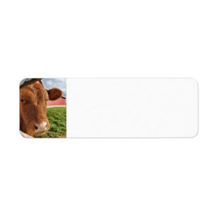 Calf Return Address Label