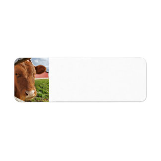 Calf Return Address Label