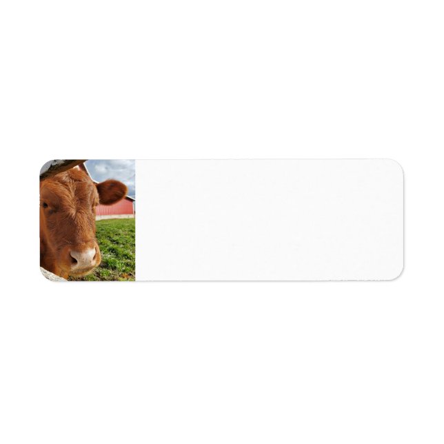 Calf Return Address Label (Front)