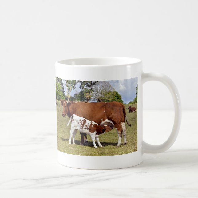 Calf suckling coffee mug (Right)