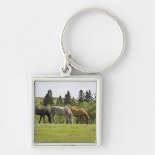 Calgary, Alberta, Canada Key Ring