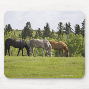 Calgary, Alberta, Canada Mouse Pad