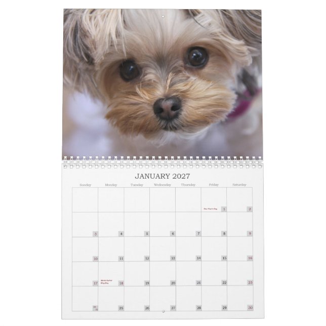 Cali Lollipop 2015 12-Month Calendar (Jan 2027)