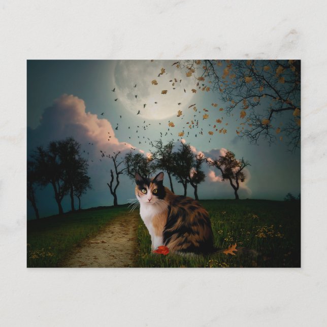 Cali Moon Postcard (Front)