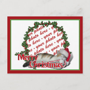 Cali the Calico Christmas Cat Photo Frame Holiday Postcard