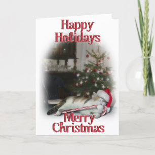 Cali, the Candy Cane Kitty Holiday Card