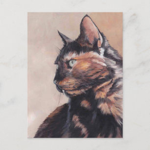 Calico American Shorthair Cat Postcard