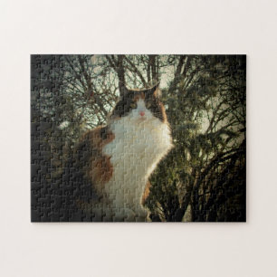 Calico and pine or your photo jigsaw puzzle