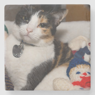 Calico And Snowmen Stone Coaster