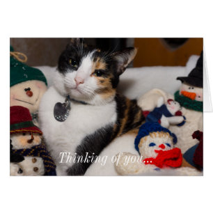 Calico And Snowmen Thinking Of You Card