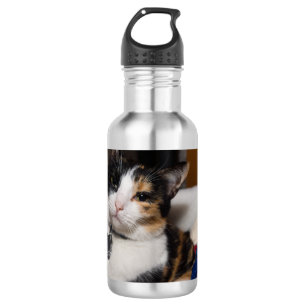 Calico And Snowmen Water Bottle