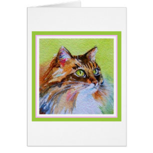 Calico Cat