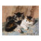 Calico Cat and Gray Kitten Fine Art Painting