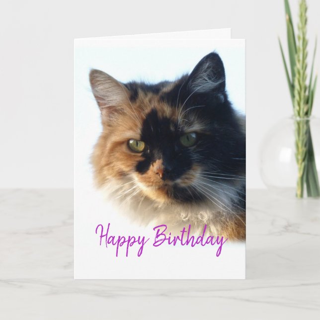 Calico cat Birthday Card (Front)