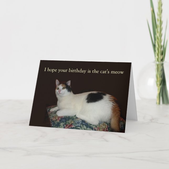 Calico Cat Birthday Card (Front)